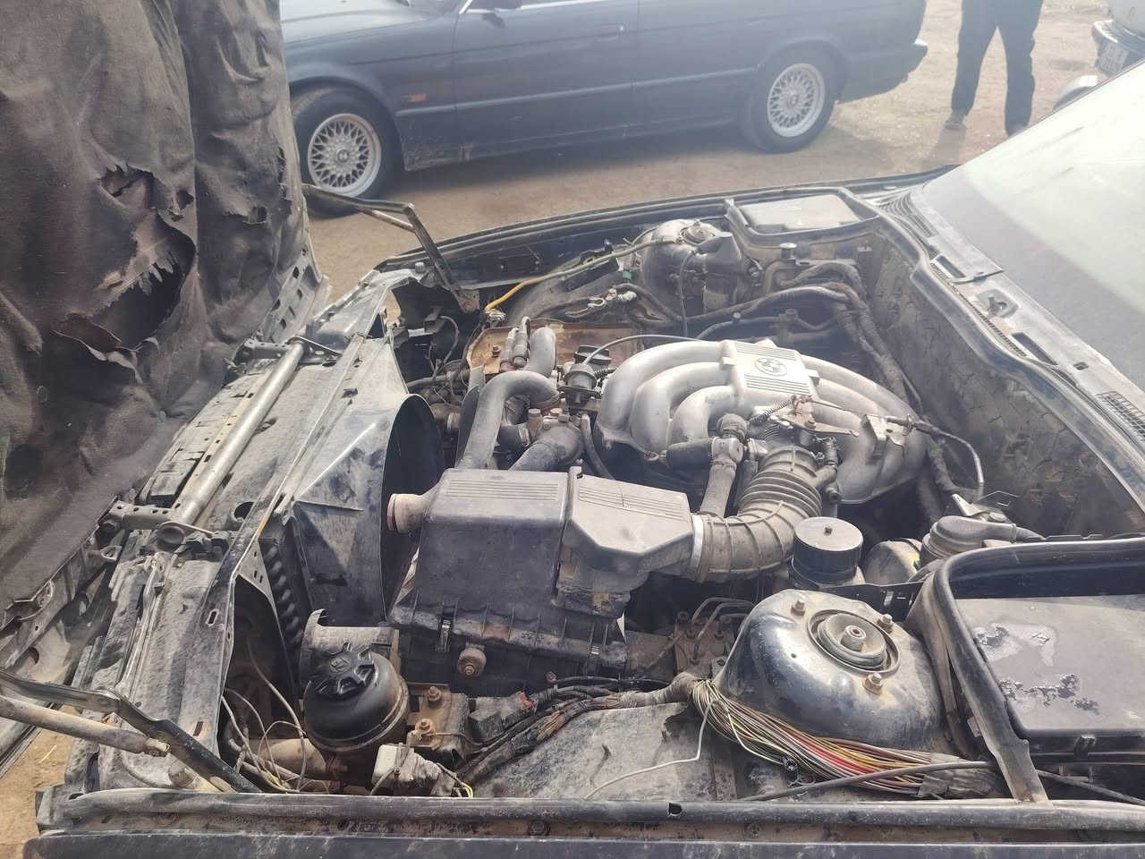 سلام عليكم من رخصة الادمن المحترم تفصيخ ٥٠٠ و ٧٠٠ مكاني بابل ناحية النيل ***********
