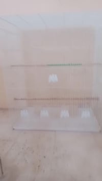 قفص ابو المتر • نظيف • السماوة