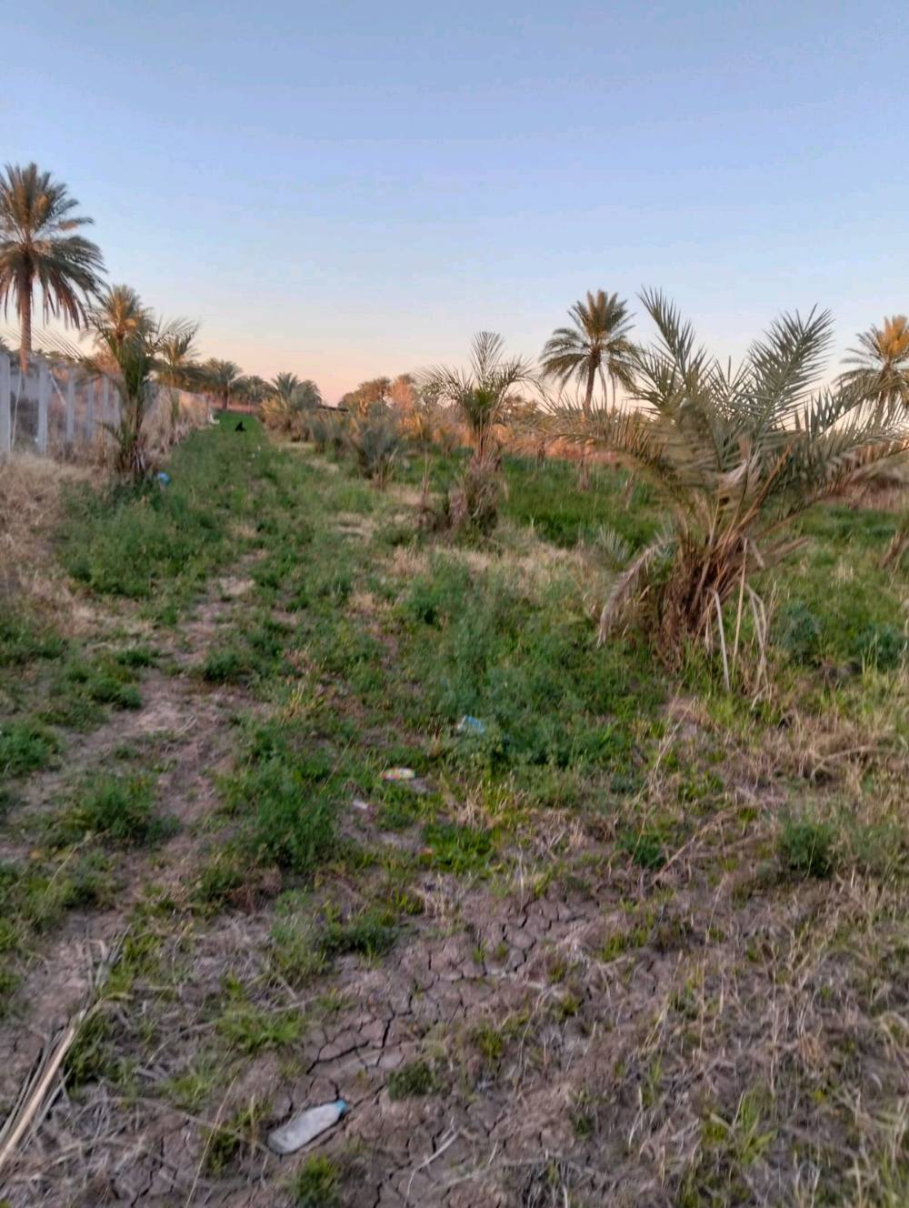 السلام عليكم آراض زراعيه المساحه 2 دونم متوفره كامل الخدمات ماء وكهراب على شارع فرعي الموقع حله  بزل حجي علي والارض مزوعه 100نحله واللعلم الارض سند 25