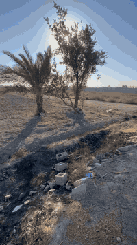 اربع دوانم تصلح مزارع او شاليهات طابو زراعي سند٢٥ ابو غريب الشيحه قرب مزارع طيبه موقع مميز ركن عله٣ شوارع عرض الشارع ٨ امتار واجهه الدونم٥٦
للاستفسار خاص او واتساب***********
