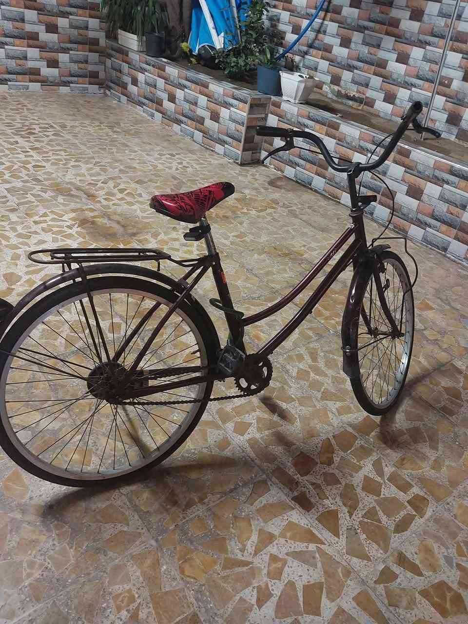 باسكل للبيع حجم 24نضيف اللي يحب يستفسر يجي خاص


**إذا كنت صاحب هذا الإعلان وتريد حذفه لأي سبب، رجاءا أرسل رسالة إلى الدعم الفني**