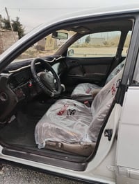 بطة • انكليزي • رقم بغداد