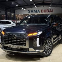 باليسيد كالكرافي • ٢٠٢٤ • ١٣ الف ميل