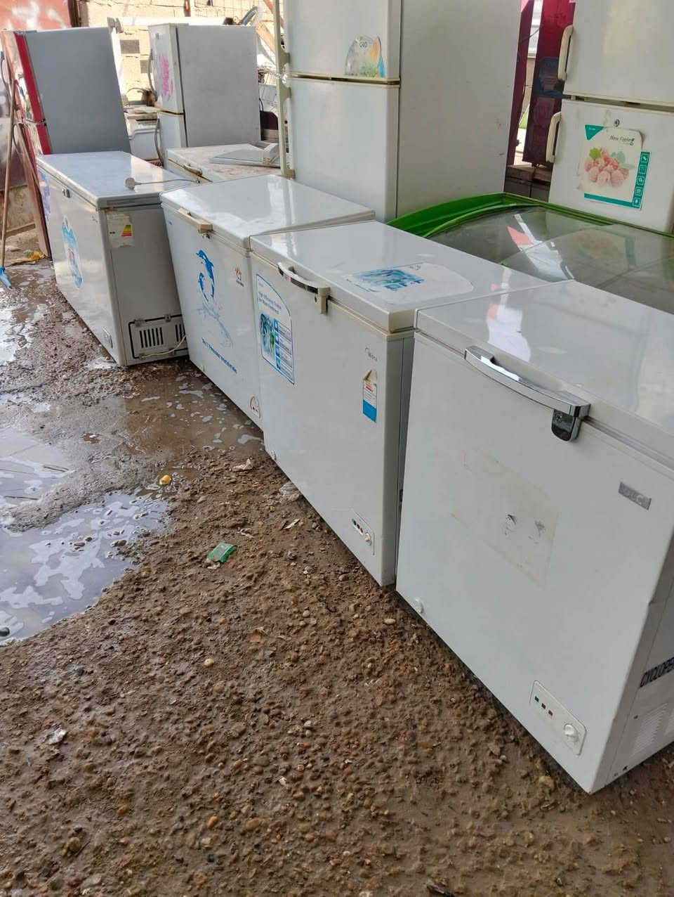 #مجمدات شغالات فووول تجميد وعلى الفحص والضمان اي اشكال بتجميده ترجع #باسعار جداً مناسبه 
احجام مختلفه 10 قدم و 14 قدم 20 قدم العنوان بغداد #المشتل #مجمع فدك قرب #المجلس البلدي رقم 
#ابوعلي للتواصل والاستفسار بي وتساب ***********
