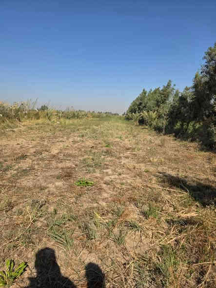 ارض زراعيه طابو ٣ونص دونم للبيع
سند ٢٥ 
طريق الموفقيه الحي 
باقي التفاصيل خاص او الاتصال بالرقم 
***********
