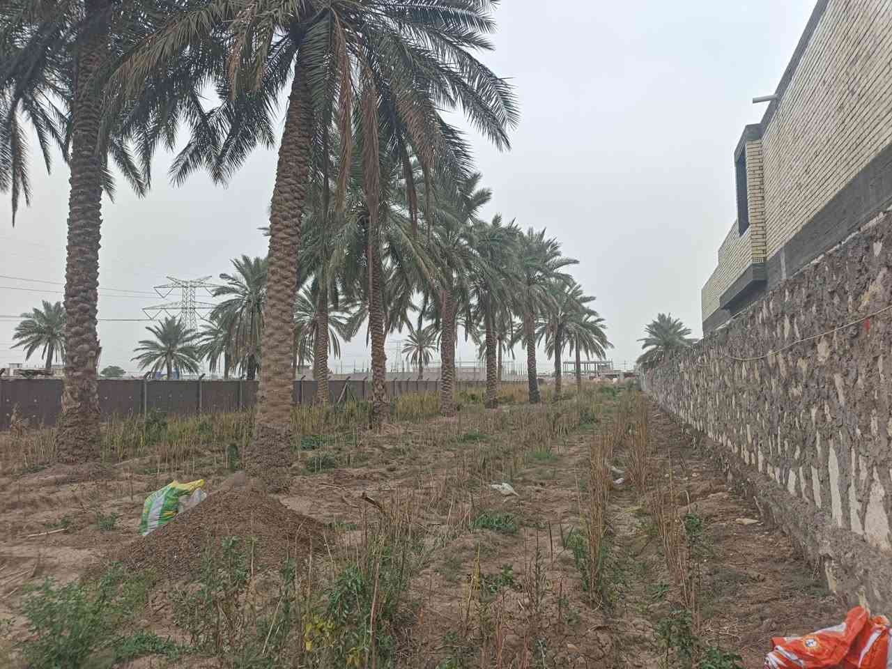 يالله توكلنا على الله وهو خير الرازقين
اخوان كلشي واضح ب الفيديو اسمع المقطع للاخير

قطعه تحفه ومتتعوض وحتى السعر راح اذكره حتى من تتصل عندك معلومه على السعر وكل سعر بي مجال هذي قاعده ثابته 

بس ضمن المعقول

ارض متتعوض ومتتحصل بيج موقع وجماليه وكلشي متكامل 

مدارس شوارع كل الخدمات

 طابو زراعي سند (٢٥) منفرد بأسم شخص🚶 واحد فقط

يعني تحويل مباشر 

السعر (٢٧٠ ) وبيها مجال مساحة (٢٥٠٠) متر مربع 

الواجها ٢٢  والنزال ١٣٩ 

للاستفسار أكثر الاتصال على الارقام التاليه

***********

***********

***********  هذا👉 فقط وات ساب وبخدمتكم 

تحياتي المدير الكروب المحترم
