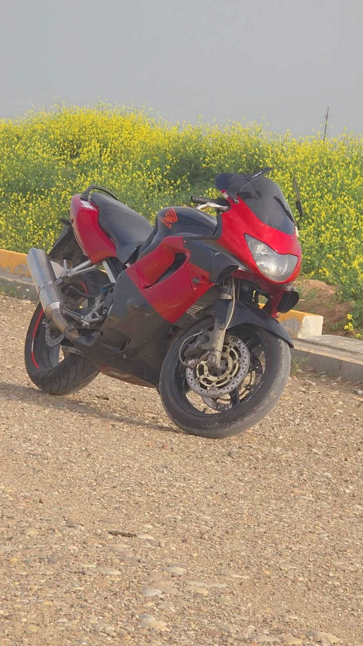 كركوك
للبيع مستعجل عليها 
600.  Fهوندا. 4
رقم كركوك كلشي جديد بيها 
بس يحتاجلها زنجيل 
سعرها ٢٣ وبيها مجال قليل
***********
مكاني كركوك بدللها زنجيل وطلع للبصره
