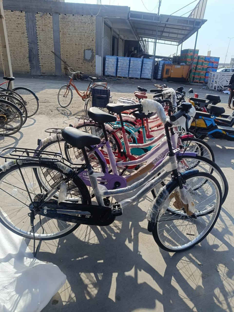 بابل سدة الهندية 
البيع جملة مفرد 
***********
