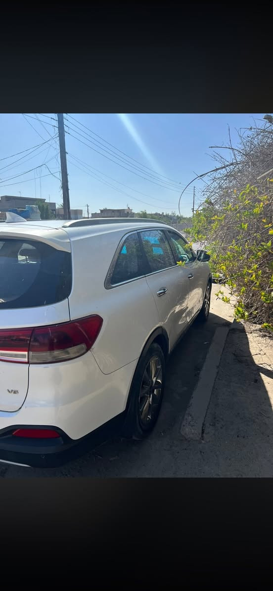 سورنتو 16 خليجي مواصفات كويتي فول للاخير تبريد 3 قطع بانوراما بصمات حساسات 360 كشنات تدفئة وتبريد كراسي جلد كهرباء 7 راكب منفصل محرك وكير مكفول السياره ماشيه 120 كيلو علا وضع الوكاله بيها بارد بالصور موضح بخشم البنيد والباقي مكفول من الشخط السياره بوضع الوكاله تايرات جدد صدر جديد باتري  جديد 
مري شفط لايت زنون زراك لايت ويل كب كروم عدد 5
كتلوكات الشركه كلها بيها
السياره دشبولها مفطر والبانوراما تشكل متنفتح 
محرك جديد كفاله صدر جديد تايرات اصلي جديد باتري بعده بالضمان تبريد تدفئه راديترات كلها منضومه جديده مي اصلي بيها ادامه كامله مابيها اي نقص
سعرها 220 بيها مجال قليل مكانها بغداد شرطة الخامسه
***********
