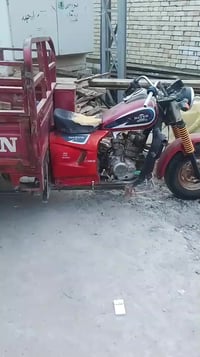 ستوته • بدون وراق • موديل ١٤