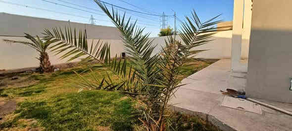 (( الـعـمـلاق لـلـبـيـع موقع تجاري ركـن وشـارعـيـن 60 مـتـر )) 

(( للبيع للبيع دار فاخر في موقع متميز بسعر مناسب جداً ))

‏_ ‪_ المساحة:_ 320 متر مربع

_المرحلة:_ الأولى، فئة A
_الموقع المحدد: بلوك 32 
_ ركن على شارعين 60م وشارع 15م 🌴🌳

_تفاصيل الدار:_
_الطابق الأرضي:_
- غـرفـة
- صـالـة
-اسـتـقبال 
- مـطـبـخ
- حار + بار
- حـديـقـة
- كراج سيارة
_الطابق الأول
- 3 غرف
- 2 سويت
- مجموع الغرف 5 على شارعين وجهه شارع 60متر 
ــــــــــــــــــــــــــــــــــــــــــــــــــــــــــــــــــــــــــــــــــــــــــــــــــــ
_السعر:_ نقد، سند حر، سعر مناسب جداً

للاستفسار الاتصال او مراسلة 

(( *********** واتس أب ))   

(( *********** تلي كرام  )) 

فرصة استثمارية رائعة لمن يبحث عن دار فاخرة في موقع متميز. للاستفسار، يرجى الاتصال
