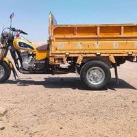 ستوته • مديل ٢٠٢٠ • الزبير