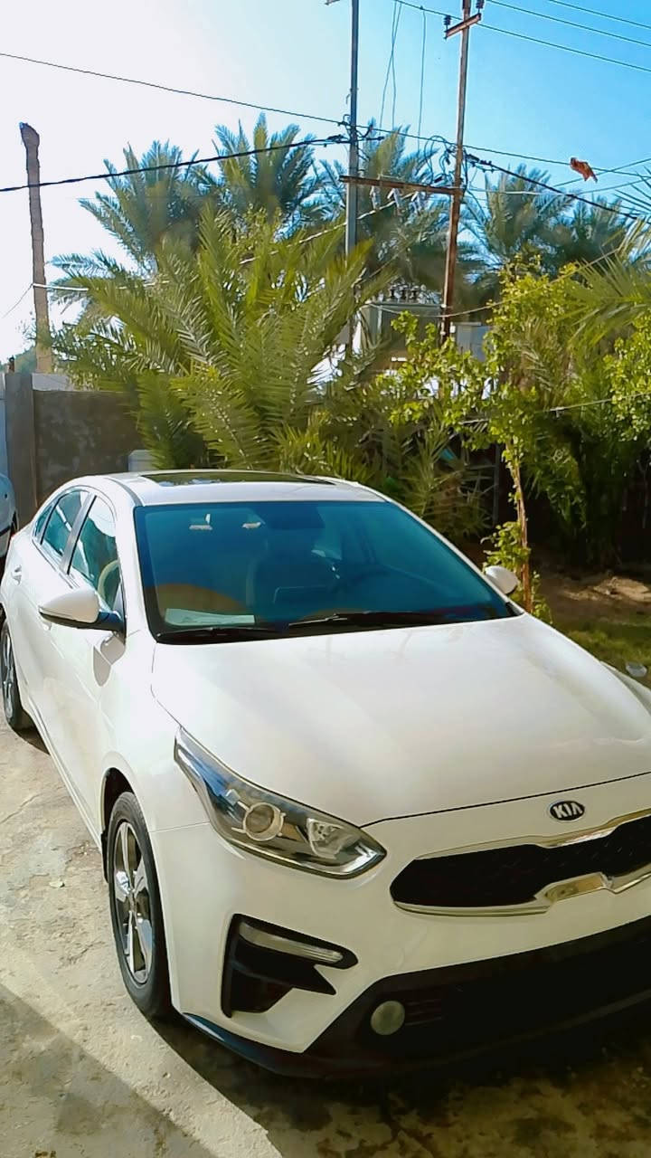 السلام عليكم للبيع سيراتو موديل 2019 خليجي فول ما عدا البصمه مكفوله من صبغ والتبديل ماكينه 1600 دوش رقم بغداد السعر 155 فيها مجال بسيط مكاني بابل ابو غرق رقم ***********
