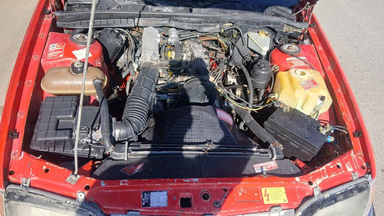 ***********
الحلال
