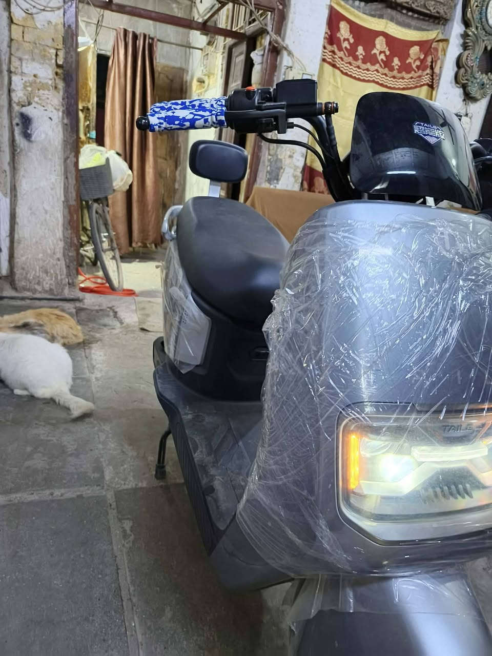 السلام عليكم دراجة شحن نوع تاليج جديده زيرو استعمل قليل 6 بطارية كبير دبل *********** سعر 750 قفل عنوان بغداد ساحه الوثبه وصل موجود ملف بقدرة 1800 واط سرعه60 حقيقي
