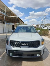 تولورايد ٢٠٢٤ • أعلى فئة • بدون رقم منفيس