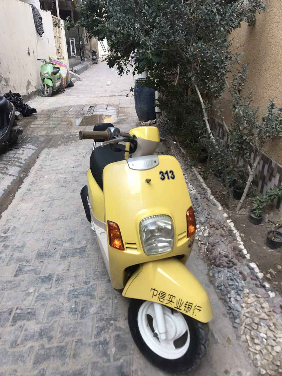 سلام عليكم ماكس بوليسي للبيع بلاد بلاد تافصيل واتساب ***********
