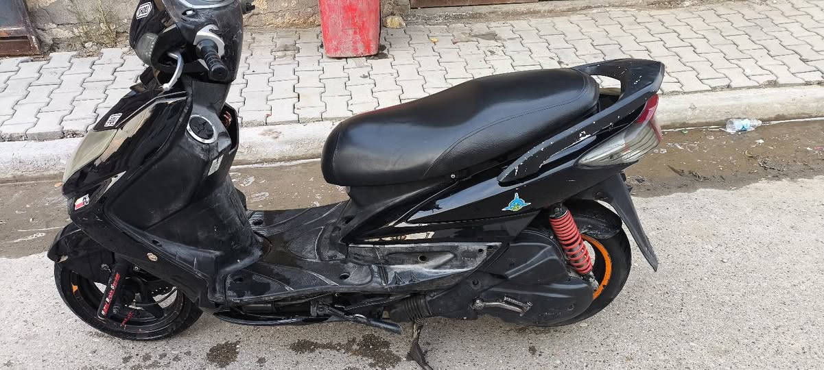 السلام عليكم سكنس فحل كوري للبيع السعر 650 وبيها مجال
المكان بغداد الحسينية 
***********
