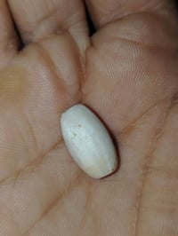 عطفه برية • صحيحة • أهلنا