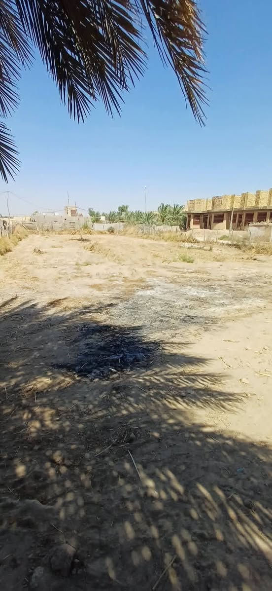 قطع أرض للبيع
الموقع حولي دغارة 
مساحه كل قطعة250م
متوفر جميع الخدمات
للاستفسار  ***********
