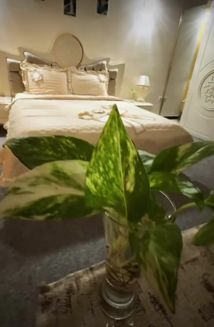 غرفة نوم  نفرين تركيه باب اول من العالميه ماخذته نضافه ٩٠٪؜ متكونه من جربايه نفرين وكومدي ثنين وكنتور سلايد كبير وكومدي مجرات ٥ وميز تواليت 
وغرفه اطفال متكونه من جرابي نفر عدد ثنين وكنتور ٤ أبواب 
ورحله طفل وحاسبه شغاله 
كل الغراض نضيفه مابيها اي كسر نهائياً مكان بغداد زيونه 
تفاصيل اكثر على الخاص


**إذا كنت صاحب هذا الإعلان وتريد حذفه لأي سبب، رجاءا أرسل رسالة إلى الدعم الفني**