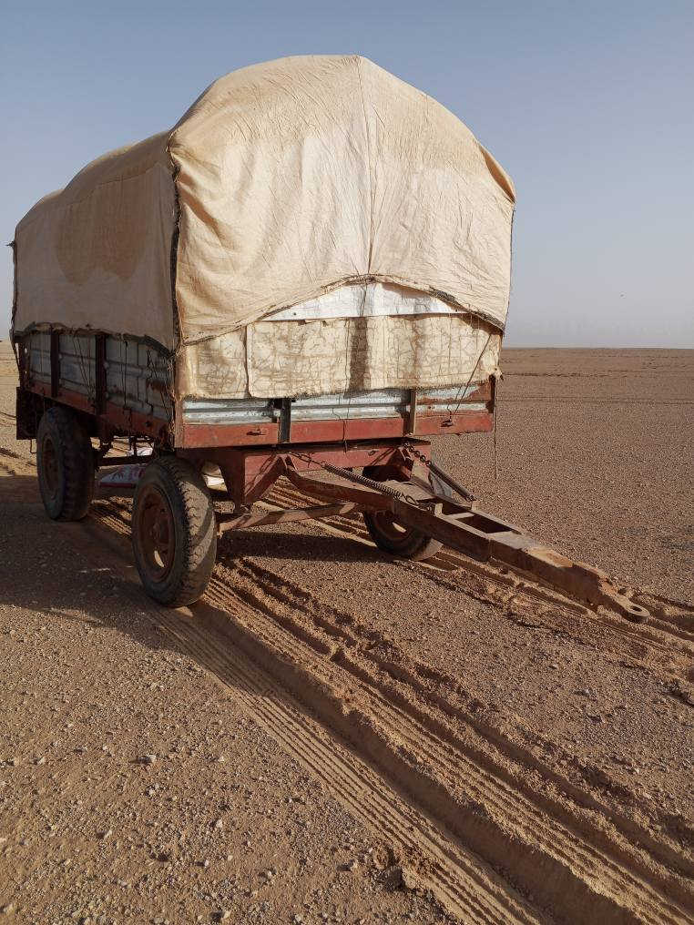 سلام عليكم خوان عربانه اللبيع 4متار عربانه ادرجه اوله اذا احد عنده  عربانه طويله نتراوس وننطي فرق احسب الغناعه  اوذابيع هم ترهم تصال ‏‪***********‬‏
