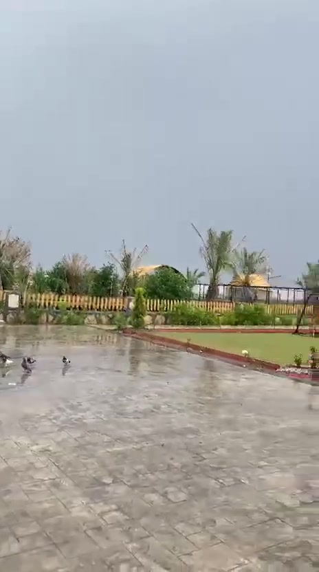 واحد كون يكضي عطلته بهيج مكان يفتح النفس يحس روحه مو بالعراق 
مزرعتكم الجميلة متوفرة للحجز و الدفع مبااشر مو تحويل 

مكانها بغداد ، عرب جبور ، مجمع الزمرد،
مساحتها دونمين و نص الفلة مالتها تحوي قاعة ضيوف كبيرة ترهم للمناسبات و غرفتين نوم وصالة داخلية و مطبخ بالاضافة للصحيات 
المزرعة تحوي مسبحين كبيران واحد للاطفال و الثاني للكبار ، العاب اطفال منوعة نطاطة ،مراجيح ،دولاب دوار افقي ، العاب كبار ،بليارد ، كرة طاولة ، فيشة ، متوفرة جلسة عربية ، العاب اخرى ، و تحوي على حيوانات و طيور منوعة مثل الغزلان و الطاووس ، المزرعة كبيرة جدا ترهم حتى للاعراس و الجوبي ، مزرعة حديثة جدا و نظيفة جدا بكل امانة ،الحجز من صاحب المزرعة مباشر .


**إذا كنت صاحب هذا الإعلان وتريد حذفه لأي سبب، رجاءا أرسل رسالة إلى الدعم الفني**