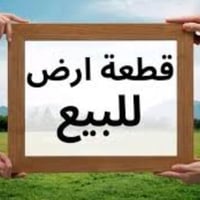سند ٢٥ • شارع علي قماره • ٨×٢٢م