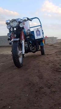 ستوته • موديل 2021 • كوت نعمانيه