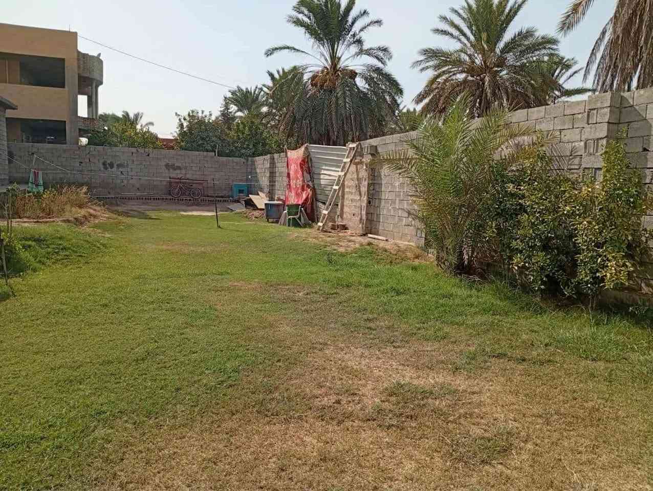 قطعة ارض مساحة 400 متر مع ثلاث محلات للبيع العنوان الراشدية غرب البحيرة للاستفسار ***********
