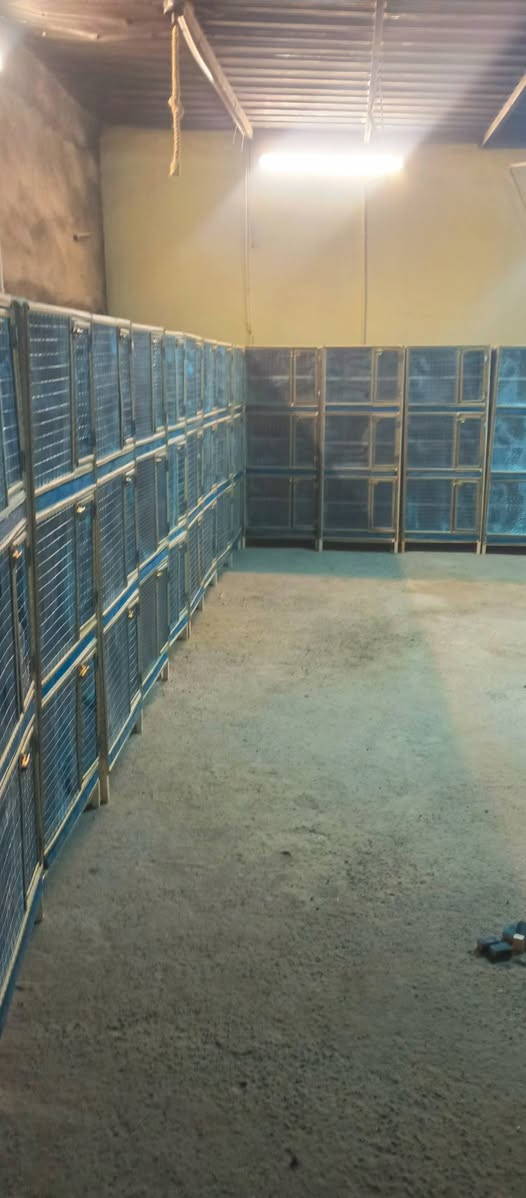 سلام عليكم خانانت حمام ام الجرار مكان بغداد الحبيبية ب ٦٠الف ***********
