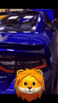 عرض👇

⸻

🚗✨ مركز  وخدمات الاسد✨🚗
العنوان في شارع الربيع

🧽 خدماتنا تشمل:

• بوليش بأجود المواد العالمية حسب حالة السيارة 
• ⁠تشميع الخارج
• حمّام داخلي كامل 
• تشميع داخلي وخارجي
• تكحيل بالحاسبة 
• ⁠ (معالجة الخدوش والهالات )
• غسل المحرك وتشميعه (بطريقة احترافية )

🔥 كل هذا بسعر خيالي. جرب وشوف 🔥
💯 جودة عالية • ضمان الشغل  ثلاث اشهر 
والفراق اكيد راح يكون واضح 

📞 للحجز والاستفسار:
***********

﴿ وَقُلِ اعْمَلُوا فَسَيَرَى اللَّهُ عَمَلَكُمْ ﴾
نشتغل بإتقان، ونطلب رضا الله قبل رضا الزبون 🤲
رزقنا ورزقكم الله 🤲🏼
