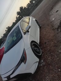 كورله • ٢٠٢٠ • رقم بغداد