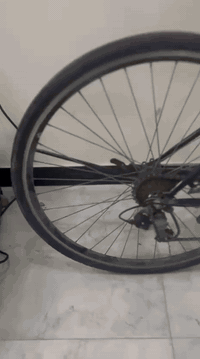 سلام عليكم شباب بايسكلات ثنين واحد ياباني مسافات بعيده 
وثاني بناتي 
 الياباني كامل مكمل بايسكل زلخ ما بي بل فريم كير حساس امامي بريكات بل مكان تايرات جوبلس نضافت البايسكل كبال عينك نضيف 
البناتي موديل 2013 نضيف يرادله بس سيم واير مال بريك امامي والويل الخلفي بي عواج قليل 
مكان بغداد بياع 
سعر الياباني من الاخير 75 🔒
سعر البناتي 55 🔒
                               راسلوني واتساب ورزق علا الله 
     ***********
