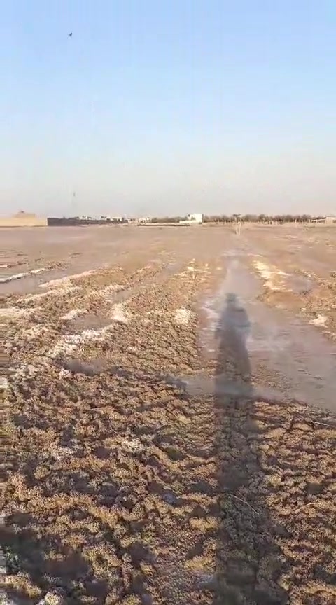 سلام عليكم ورحمه الله وبركاته قطعت رض اللبيع سيد سماعيل حي إلمام علي 200متر سعر خاص ***********
