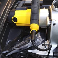 كوسره حائط • بور بلص • بلجيكي اصلي