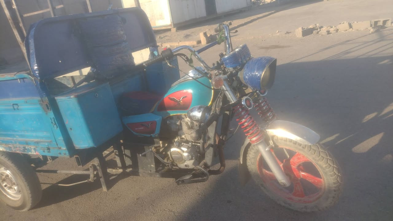 للبيع صقر   اوراق كاملة مكان بغداد حي انصر السعر  700 شراي ينتصل مكلف بنشر  ***********
