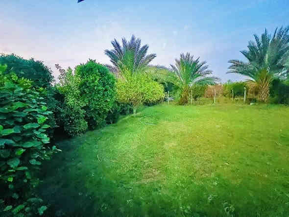 السلام عليكم  
قطعة ارض 4 دونم مع بيوت عدد 2 للبيع 
الواقعه في الحيدري بيت سعد البعيجي 
قرب ثانوية الحيدري المختلطة
الارض عقد 125 مساحة 4 دونم
الارض تحتوي علئ 
بيوت عدد 2
حديقة كبيره واجهة البيتين
سياج سيم BRC محيط القطعة
موطور هندي فلاوين 
موطور كهربائي ابو ال 3
مولد فلاوينين 16 احصان راس توليد سنكل 40A
الشارع قشط تبليط
و باقي التفاصيل موضحة في الصور من اشجار و نخيل التربة خير من الله حلوه 
للاستفسار عن السعر او اي تفاصيل اخرى الاتصال 
***********
***********
