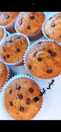تجهيز مجالس حسينية • مأجورين • خدمة توصيل