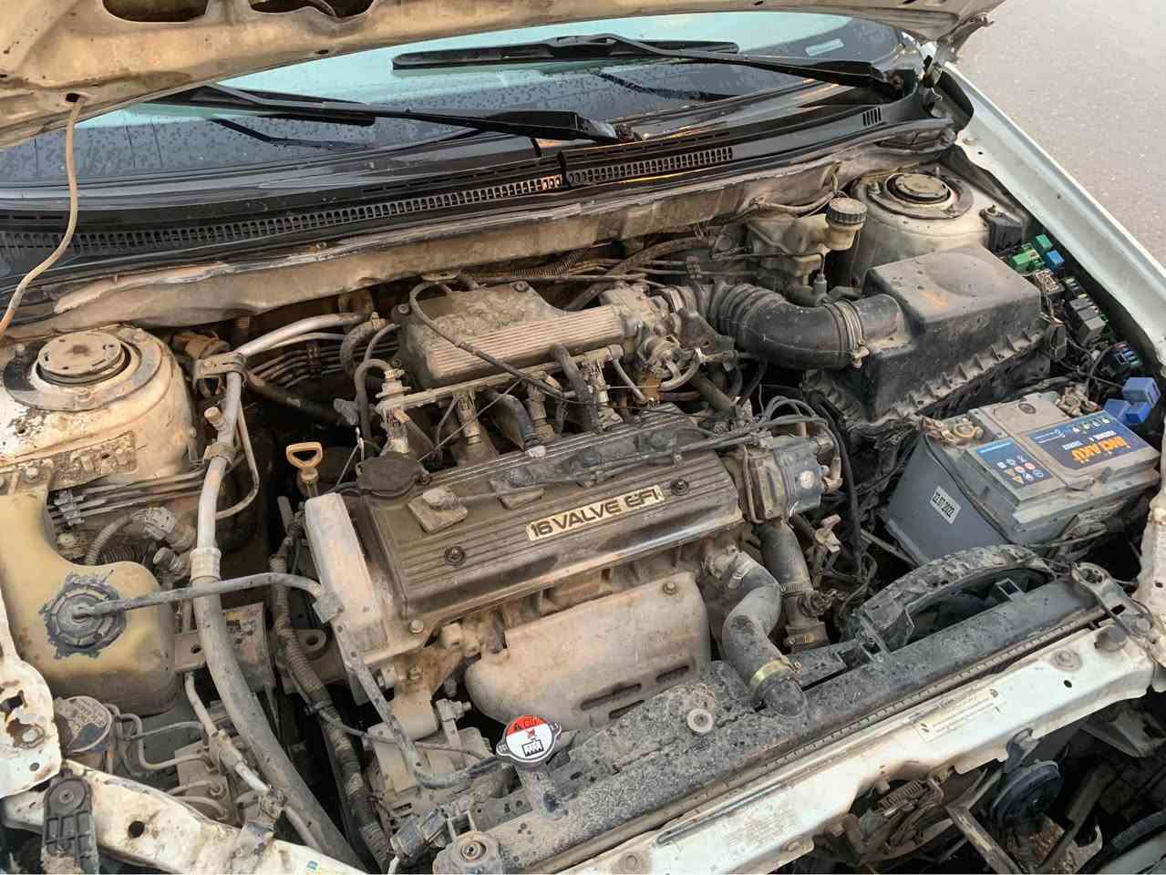 بیوایدی ٢٠١٣
مەکینەو گیر بەشەر کرۆلا
ئاوئنە ئیشارەت 
ئاوینە کارەبا
سلاید
مەکینە ١٦
تەبرید سارد گەرم 
سەنەوی پلاستیک
بەسمەیە
گیر عادیو تۆماتیک
جوار تایەی تازە 
بئ تەقەو رەقە

***********
وەتس ئەپ 
ڤایبەر
دەربەندیخان
٣٩ گلا دار بنديهكان, السليمانية
