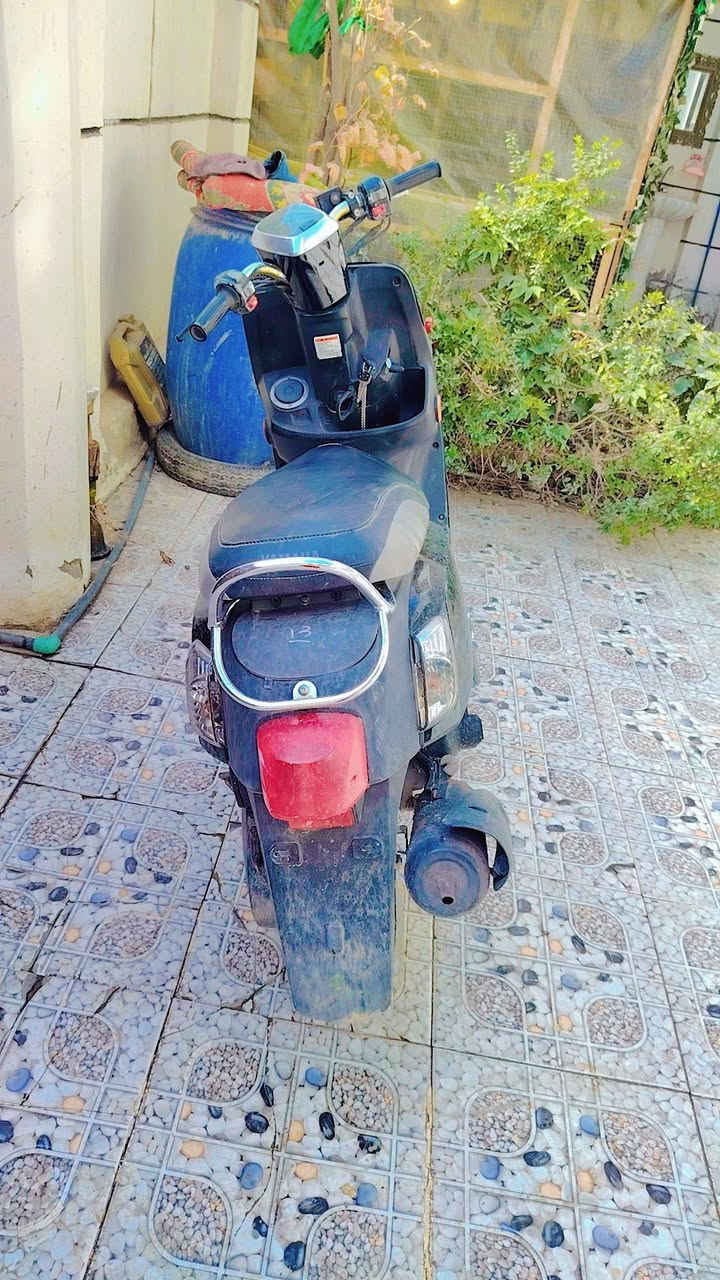 متاح دراجه خير من الله
برغي مامفتوح   لسعر خاص وتدلل وكيل
بابل شارع 80
***********
