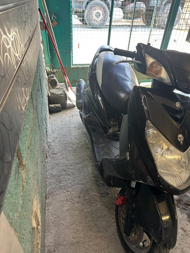 سلام عليكم سكنس فحل للبيع بوشة ٥٨ دراجة نضيفة طلاعات قبق نفخ صالنصة صجميةسعرهة ٧٠٠ وبيهة مجال حك الجية العنوان بغداد الأمين الثانية مابيهة نقص التواصل ***********
