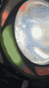 للبيع مديل ٢٢
١٧٥٠ وبيها مجال للاستفسار ***********
