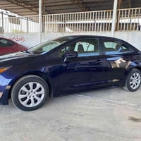 كورلا امريكي • ٢٠٢٤ • سامراء