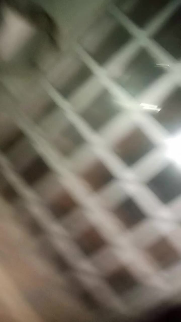 للبيع  بغداد جميله
انطي سعر   وإذا يفيدني ابيعلك


**إذا كنت صاحب هذا الإعلان وتريد حذفه لأي سبب، رجاءا أرسل رسالة إلى الدعم الفني**