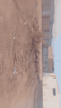 ديوانية الإسكان • ٢٠٠م • سند