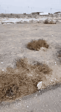 طريق بغداد كربلاء • أرض للبيع • ٢٠٠م