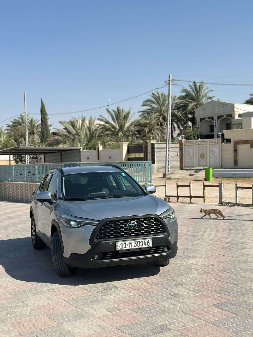 السلام عليكم 
كورلا كروز (2022) امريكي ضررها اصبع بارد فوك الايت الايمن بدون ايرباك وبدون اي شاصي السياره كفاله لا صبغ ولا تبديل رقم بغداد بأسمي تجويل مباشر  السياره جديده و فئتها (XLE) فوول مواصفات 
بصمه ابواب 
بصمه تشغيل 
تحكم ستيرن جهتين 
حساس امامي 
حساس خلفي 
رادار جانبي 
رادار امامي 
كشنات جلد 
تدفئه تبريد كشنات 
كشن كهربائ
لد نهاري
عداد دجيتال 
شاشه اعطال 
اناره ترحيب
شاشه بلاديه
كامره خلفي 
كامره دوار 
ويلكب 
تبريد شاشه
و مواصفات الكورلا معروفه السياره تخم تاير جديد يعني جديده بمعنى الكلمه والسياره بالحقيقه احلا من الصور 
السعر//185 ورقه وبيها مجال بسيط
للأتصال//***********// او// ***********
