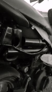 شغالة • سلف • بوشه ٥٥