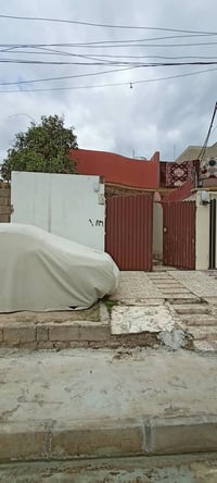 حي البكر • ١٠٠م • ملك صرف